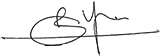guney-imza-karlidag-elektronik-yorumu